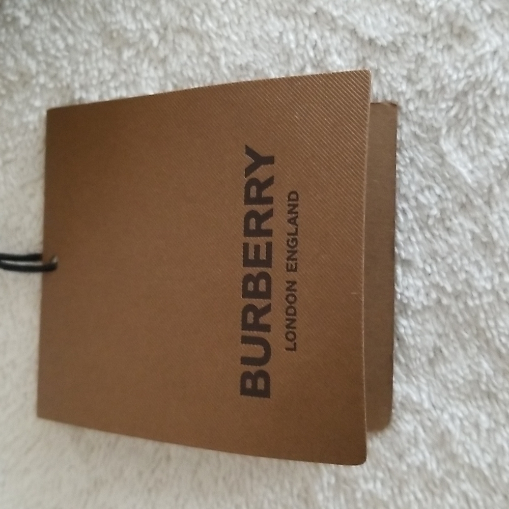 New Burberry Unisex Monogram Stripe Cashmere Scarf - Picture 10 of 14